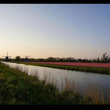 Cozy Chalet In Opmeer Near Amsterdam And Beach المظهر الخارجي الصورة